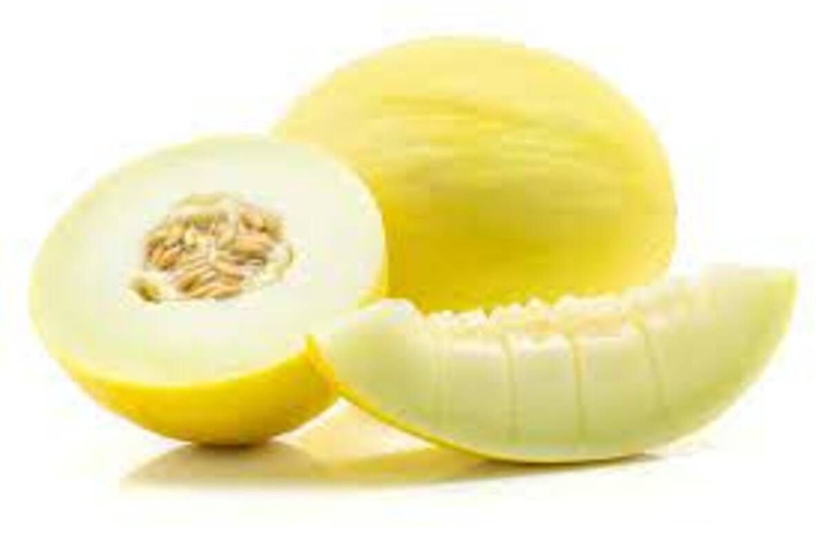 Apollo Melons 500g Approx Weight