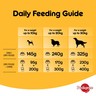 بيديغري طعام الكلاب البالغين اللحم و الخضروات ١٠ كجم