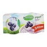 Greenfields Yogurt Blueberry 4 x 125g