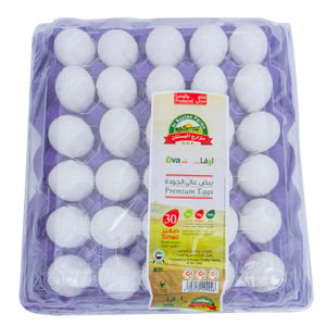 Ova Plus White Egg Small 30pcs