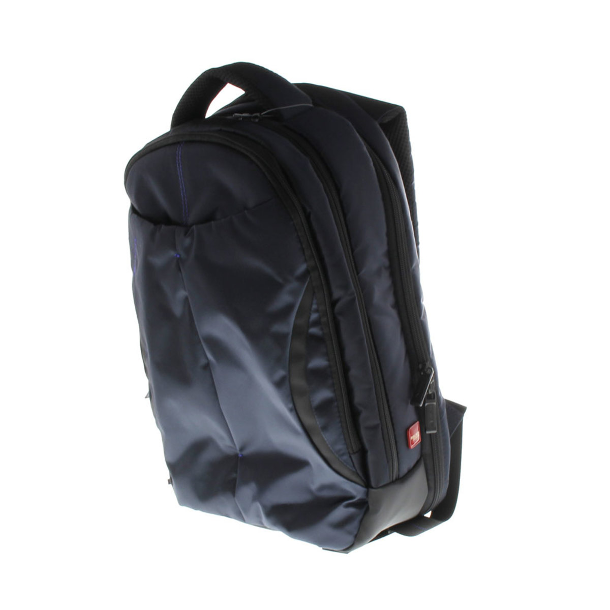 Delsey DLC2CPT LapTop Back Pack248600