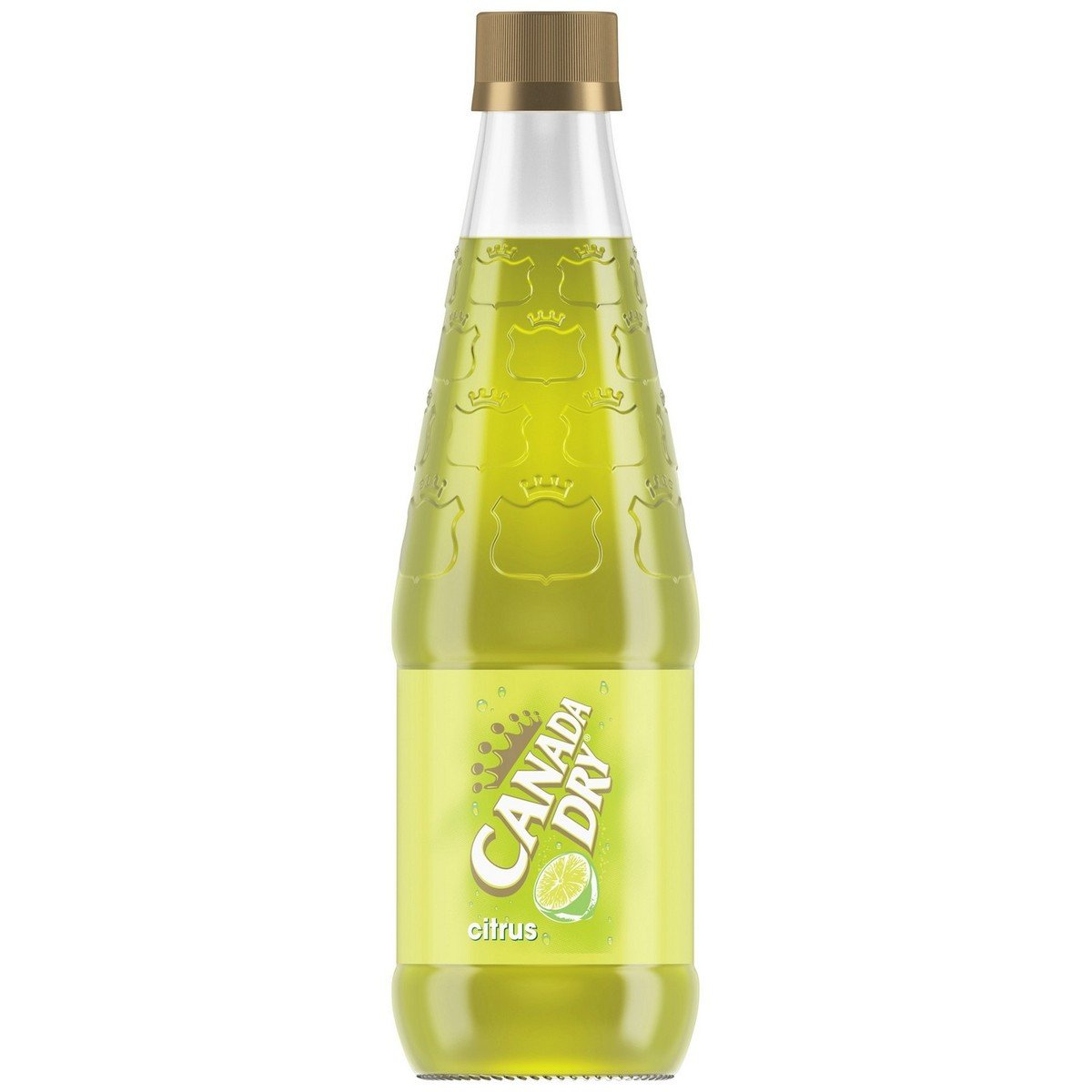 Canada Dry Citrus 330 ml