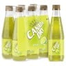 Canada Dry Citrus 330 ml