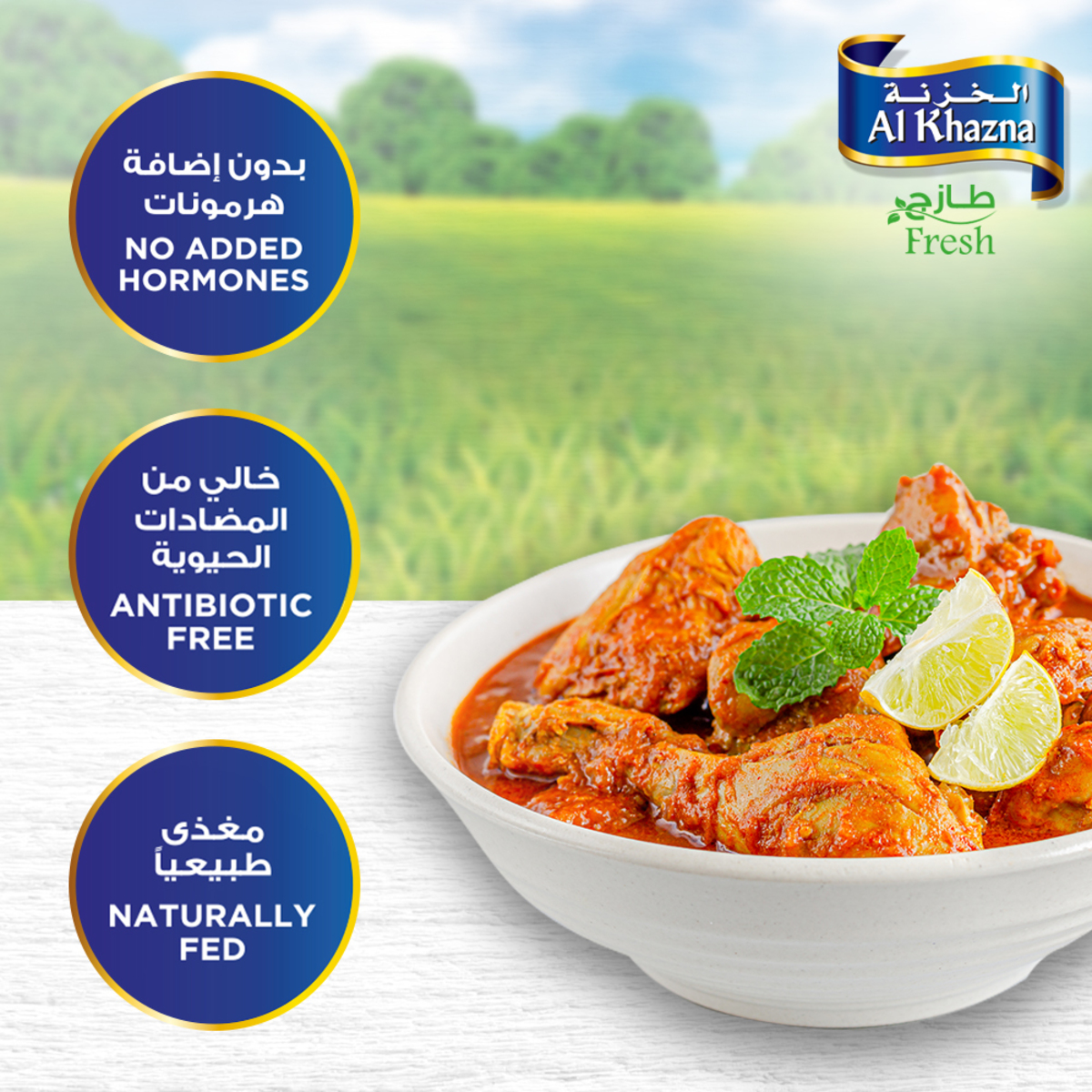 Al Khazna Fresh Chicken Cuts Skinless 8 pcs 850 g