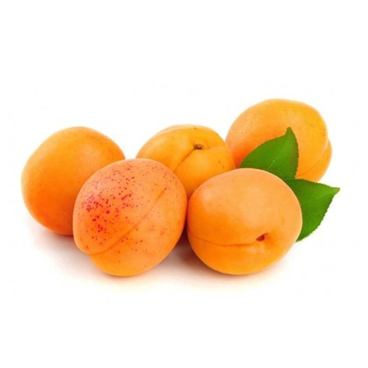 Apricot Ajami Small 1 Box