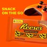 Reese's Chocolate Peanut Butter Cups 6 Pack 252g
