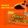 Reese's Chocolate Peanut Butter Cups 6 Pack 252 g