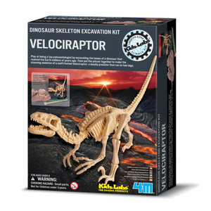 4M Kidz Labs Velociraptor Skeleton Excavation 48613234