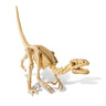 4M Kidz Labs Velociraptor Skeleton Excavation 48613234