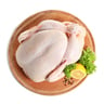 Frozen Chicken Broiler 600-700g