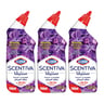 Clorox Toilet Cleaner Scentiva Tuscan Lavender 3 x 709 ml