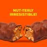 Reese's Nut Bar Milk Chocolate Bar 18 x 47 g