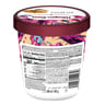 Haagen-Dazs Macadamia Nut Brittle Ice Cream 460 ml