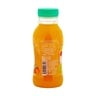 Nada No Added Sugar Mango Nectar With Mixed Fruits Juice 300 ml