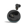 Smartix Premium ANC Earbuds Atom SBT01+