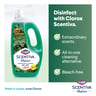 Clorox Scentiva Mediterranean Pine Forest Multipurpose Disinfectant Cleaner 2 x 1.5 Litres