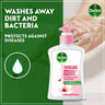 Dettol Skincare Antibacterial Handwash 2 x 200 ml