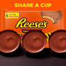 Reese's Chocolate Peanut Butter Cups 6 Pack 252 g