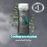 Dove Men+Care Anti-Perspirant Deodorant Stick Eucalyptus + Birch with Moisturizer 72H Protection % Aluminium 74 g