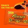 Reese's Chocolate Peanut Butter Cups 6 Pack 252 g