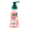 Palmolive Foaming Japanese Blossom Hand Wash 250 ml