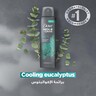 Dove Men+Care Anti-Perspirant Deodorant Spray Eucalyptus & Birch Plant-Based Moisturizer 72H Protection 150 ml