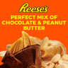 Reese's Nut Bar Value Pack 3 x 47 g