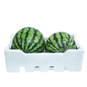 Watermelon Box