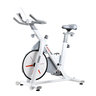 Techno Gear Spinning Bike, D300C