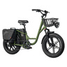 Fiido T1 Electric Bike Cargo, Green