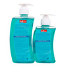 Sanita Hand Wash Assorted 500 ml + 250 ml