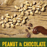 Nature Valley Peanut & Chocolate Protein Bar 4 x 40 g