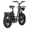 Fiido T1 Electric Bike Cargo, Green