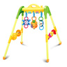 First Step Play Gym HE0601 B24