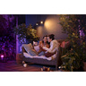 Philips HUE Lily Outdoor Spot Light Extension