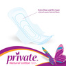 Private Natural Cotton Feel Maxi Pocket Feminine Pads Night with Wings 8 pcs