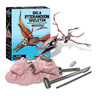 4M KidzLabs - Dig A Pteranodon Skeleton Kit, 03459