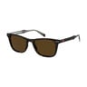 Levi's Men's Sunglass Square Dark Havana 5016S0867052