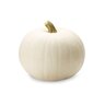 Snowbaby Pumpkin 1 pc