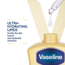 Vaseline Intensive Care Nourishing Moisture Body Lotion 400 ml + 200 ml