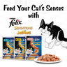 Purina Felix Sensations Jellies With Salmon And Tomato Flavors Cat Food 85 g