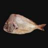 Fresh Red Koffer Big Fish Whole Cleaned 2.5 kg