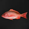 Red Snapper Big Whole Cleaned 3.5 kg