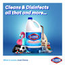 Clorox Liquid Bleach 470 ml