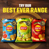 Lay's Salt & Vinegar Potato Chips 204 g