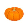 Baby Pumpkin Orange 1 pc