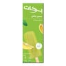 Barakat Lemon Mint Juice Pop 80 ml