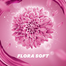 Comfort Fabric Softener Flora Soft 2 Litres