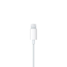 Apple EarPods with Lightning Connector, Wired (MWTY3ZE/A)