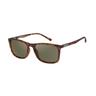 Caterpillar Polarized Men's Sunglass Square CPS-8513-102P Torts